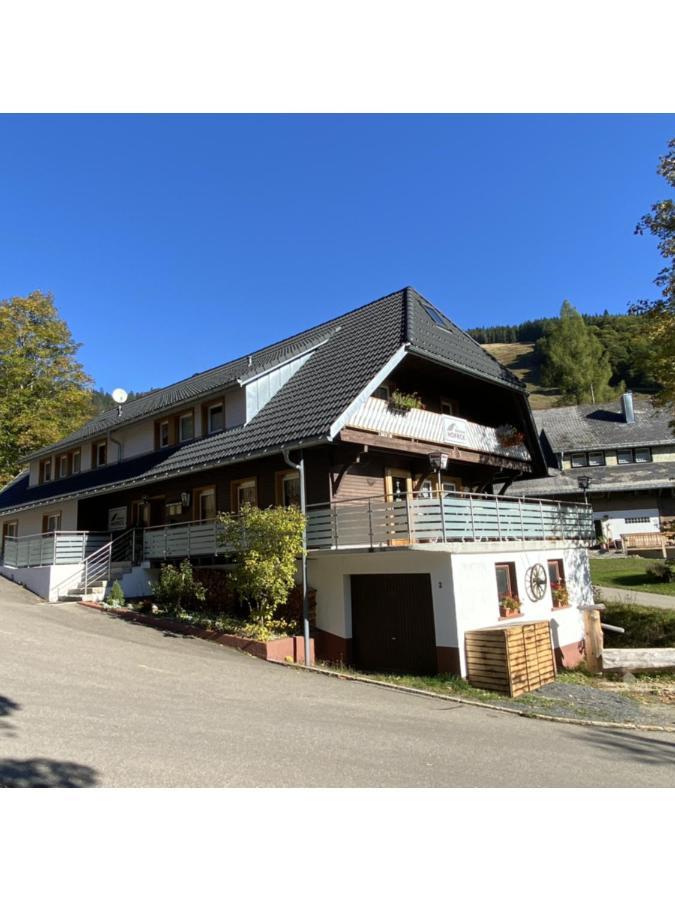 Pension Hofeck Bernau im Schwarzwald Buitenkant foto